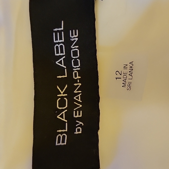 Evan-Picone Black Label Ivory Navy & Key Lime striped sleeveless dress 12 NEW… - Picture 4 of 7